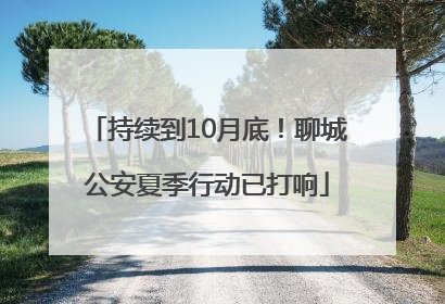 持续到10月底！聊城公安夏季行动已打响